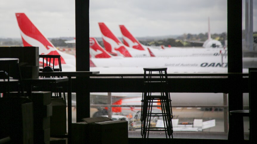 Five Qantas planes through a window waiting at airport gates.