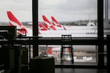 Qantas planes are visible from inside an airport terminal