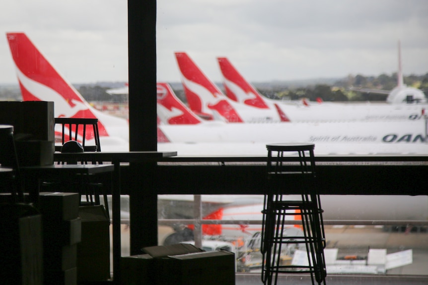 A row of Qantas planes are on the tarmac, viewed from inside an airport terminal where cafe benches are packed away.