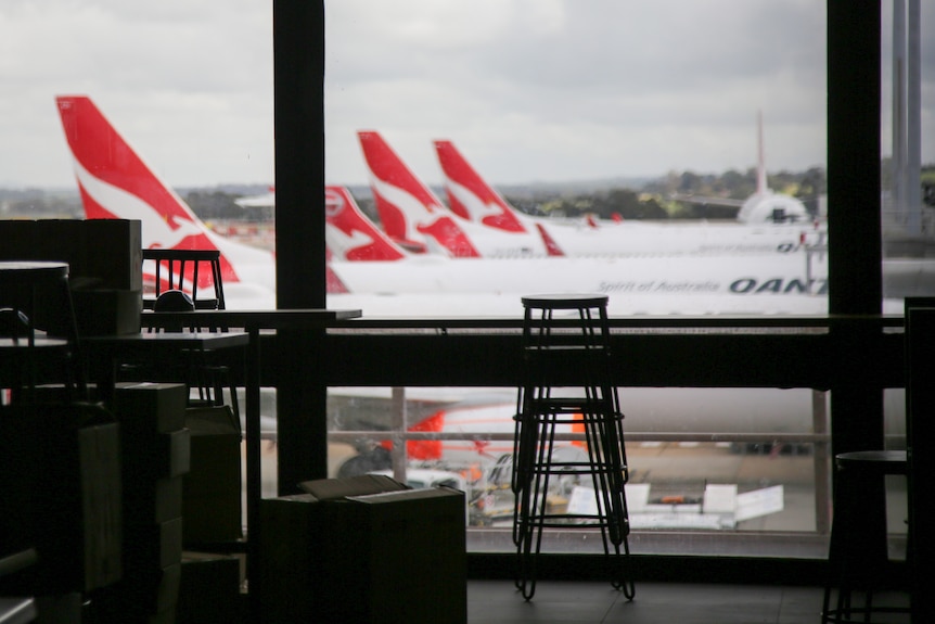 A row of Qantas planes are on the tarmac, viewed from inside an airport terminal where cafe benches are packed away.