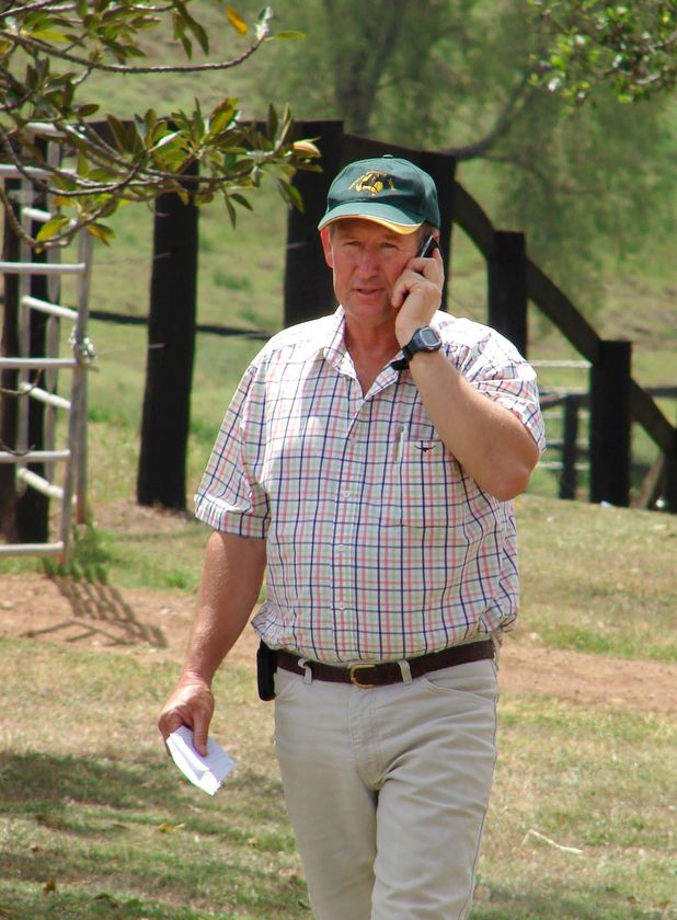 Horse import costs to soar in wake of EI report - ABC News