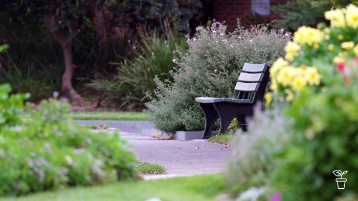 Park bench in garden filled with flowers