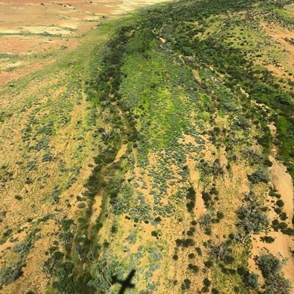 A plane flies over green vegetation in the South Australian outback.