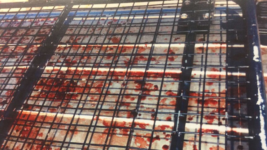 The blood-stained roof rack of the Salt Creek vehicle