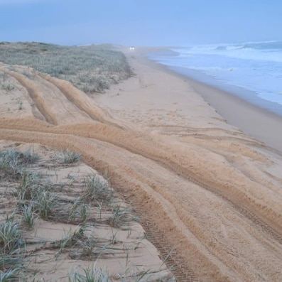 Peaks and trough in sand dune.