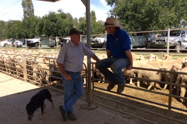 Dry conditions often force landholders to sell stock