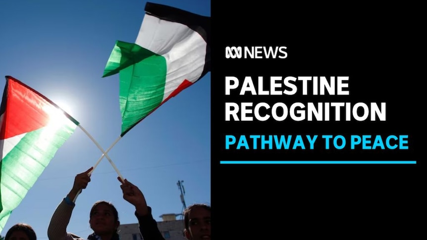 Palestine Recognition, Pathway to Peace: A person waves two Palestinian flags against a blue sky.