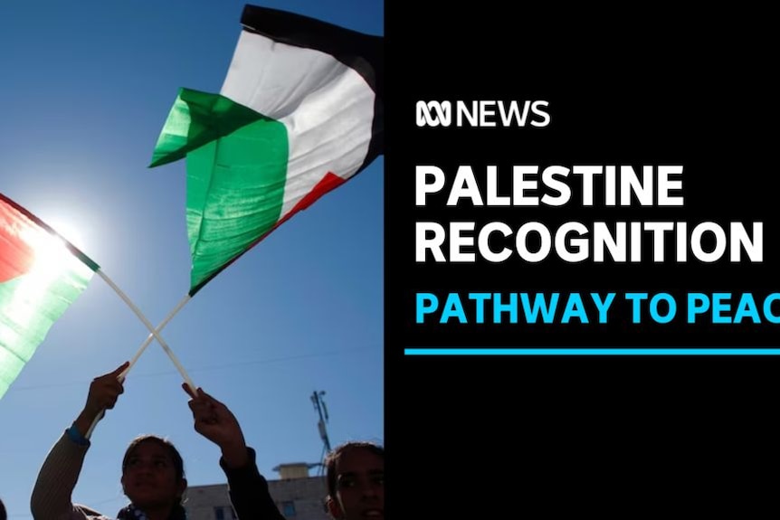 Palestine Recognition, Pathway to Peace: A person waves two Palestinian flags against a blue sky.