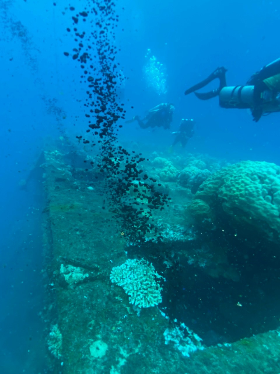 WWII 'ghost fleet' leaking oil in waters of Federated State of Micronesia