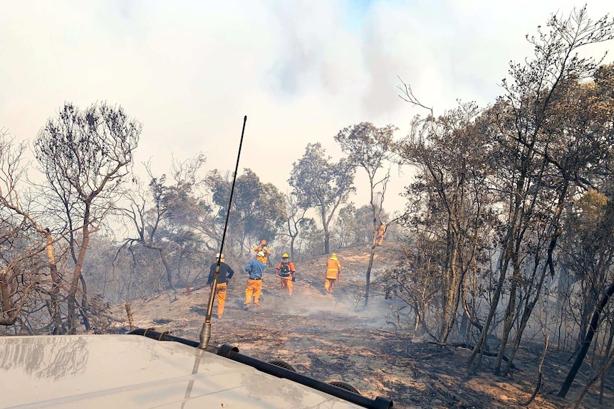 Fire crews walk through a burnt landscape.