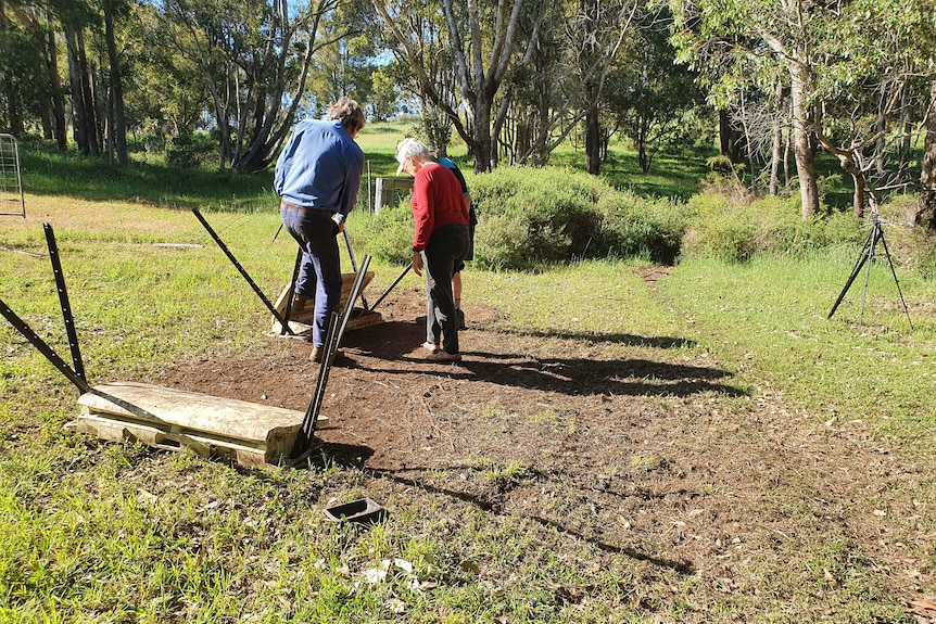 Pig bait boxes are installed by a farmer in an area of grassland using star pickets.