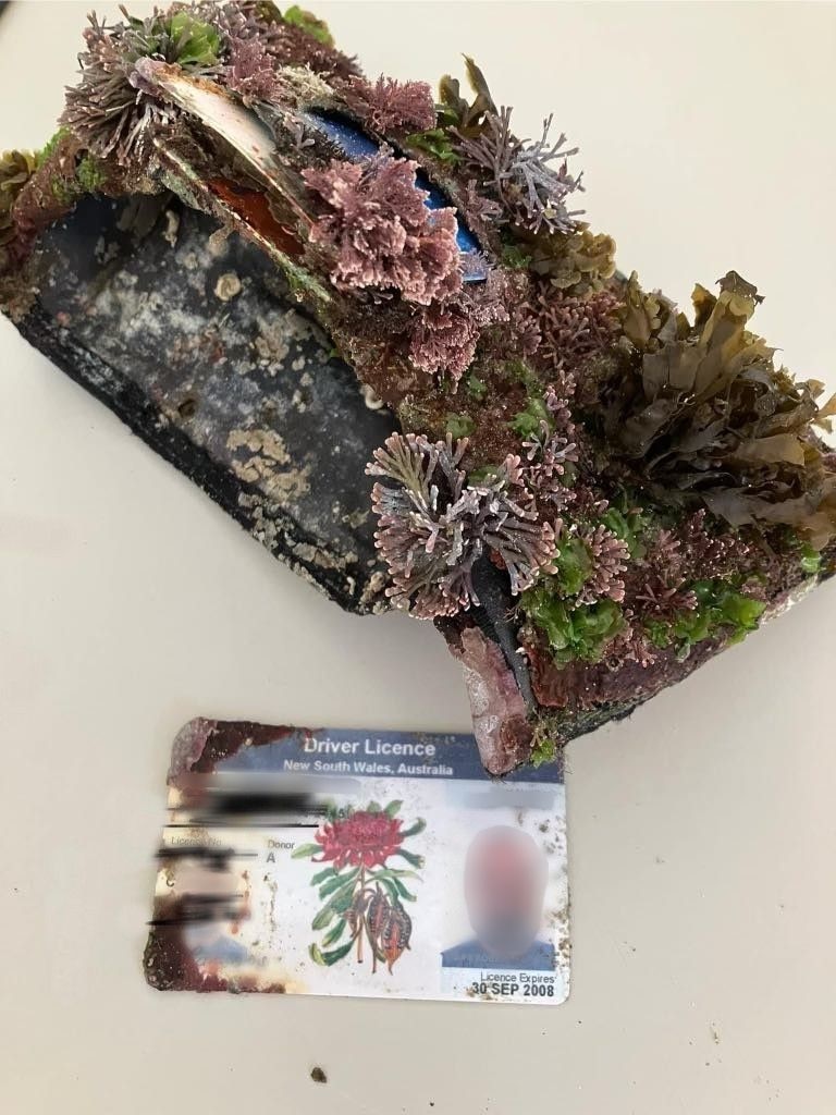 An old wallet, covered in soft corals and seaweed after being in the ocean for years.