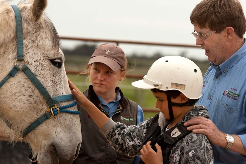 A boy meets a horse up close.
