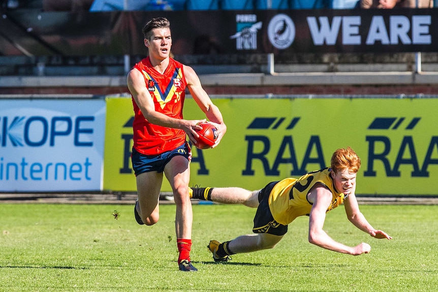 Connor Rozee AFL image