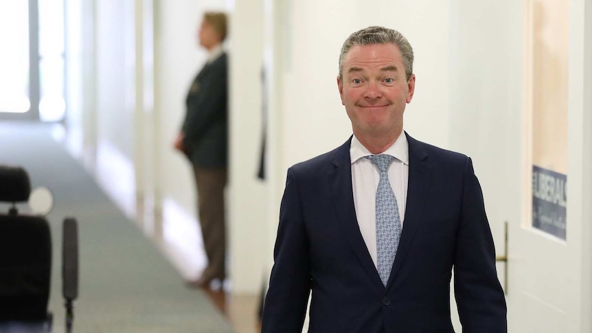 Christopher Pyne smiles while walking down a corridor in a navy suit