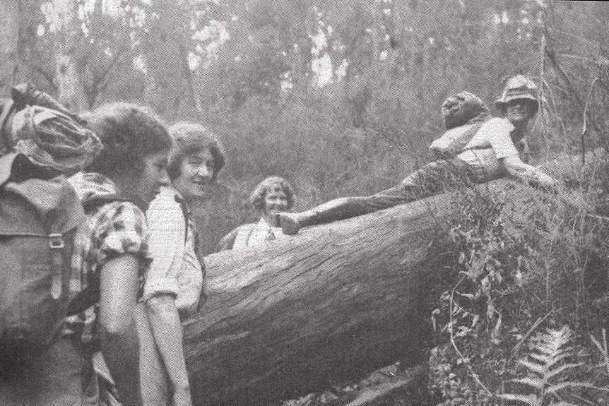 Melbourne Women's Walking Club