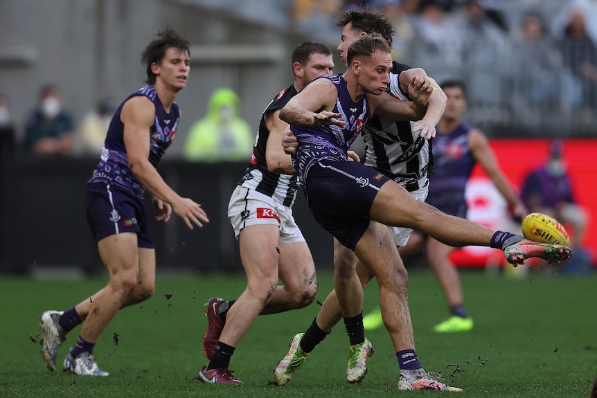 A Fremantle AFL player connects with the ball with his right foot despite close attention from a Collingwood defender.