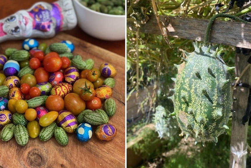 Left image of cucamelons and grape tomatoes in a bowl with mini Easter eggs. Left image of spikey Horned cucumber