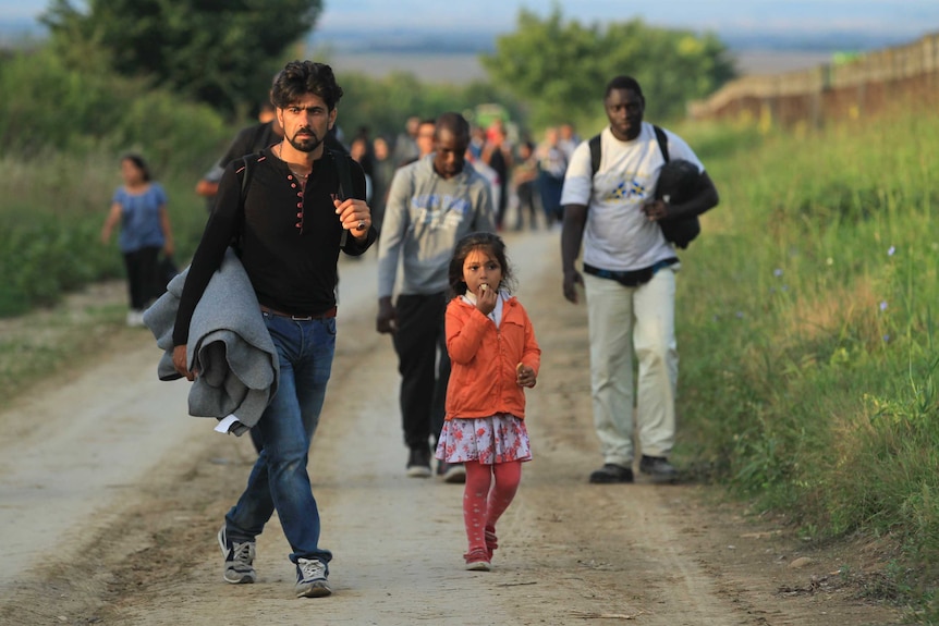 A group of migrants walk near Croatia's border