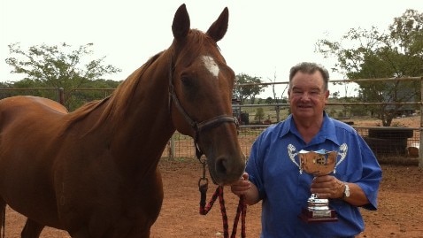 Racehorse Star of Universe from Gulgong in NSW