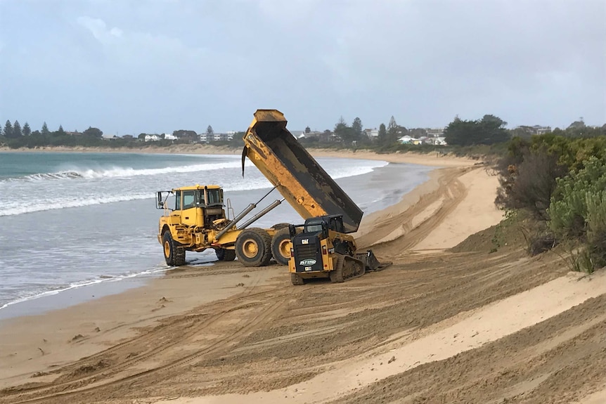A large dump truck dumping sand on the beach along the Great Ocean Road.