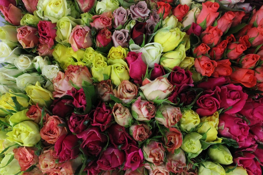 A huge bunch of red, yellow, cream, pink, and orange roses