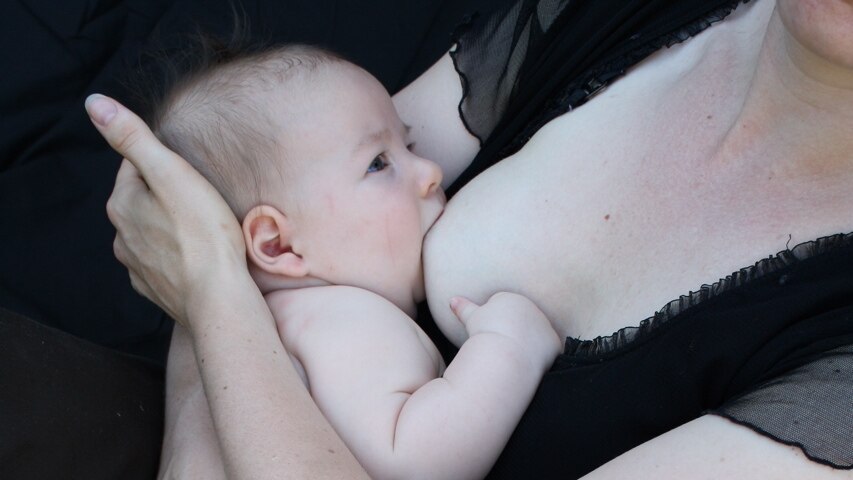 a mother feeds her baby at the breast