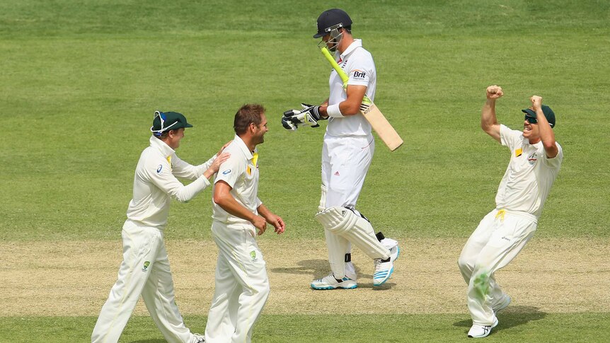 Harris and Warner celebrate Pietersen dismissal