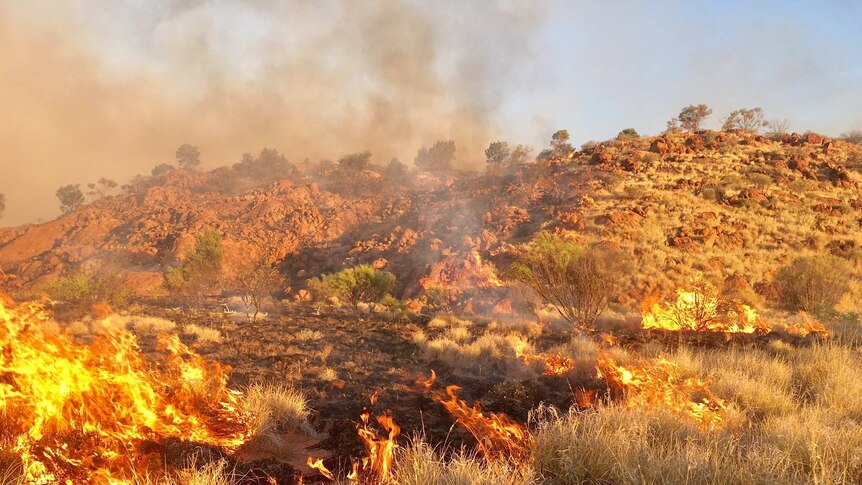 Flames in outback vegetation.
