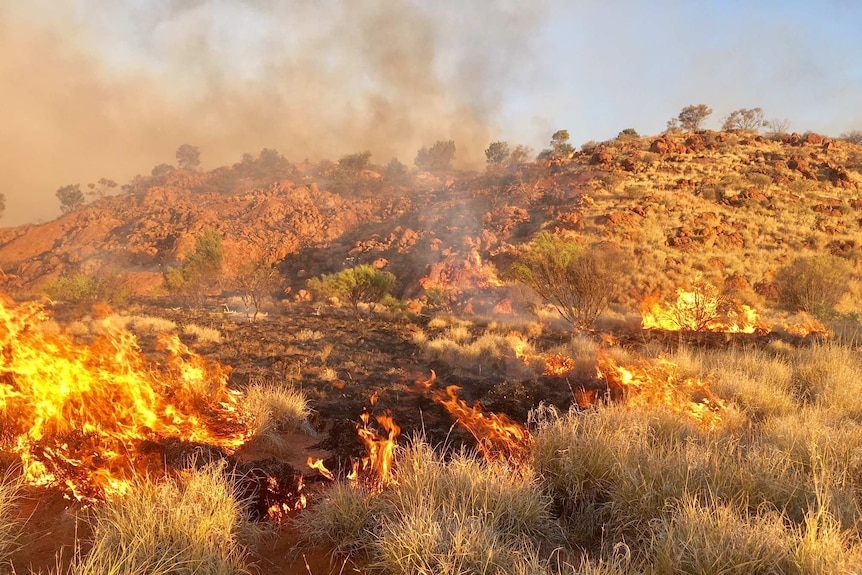 Flames in outback vegetation.