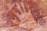An Indigenous hand painting on the cliffs at Turraburra in western Queensland