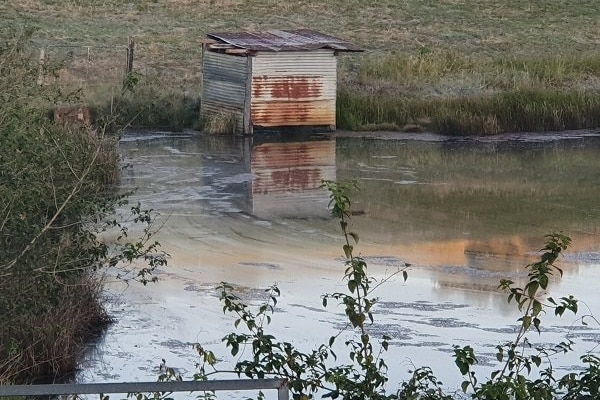 La glace se forme sur un barrage dans le nord du Queensland