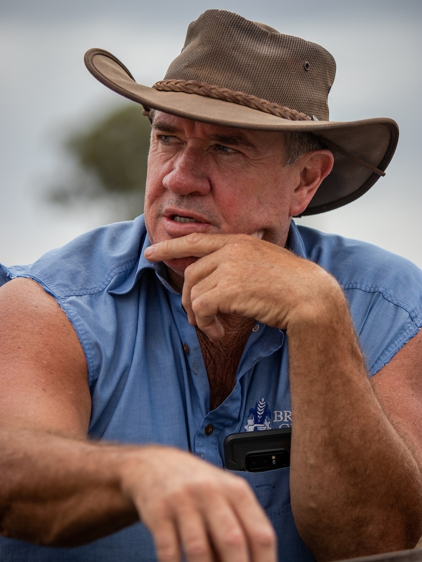 A canola farmer, wearing a hat, looking worried about his failed crop