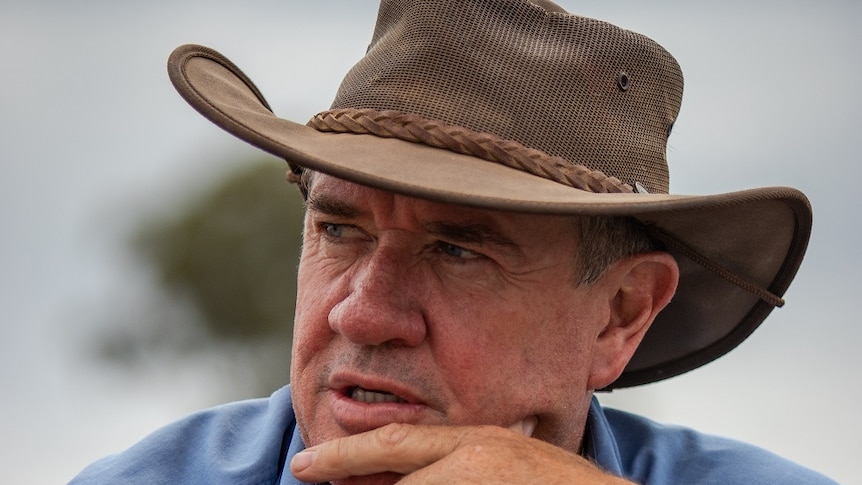 A canola farmer, wearing a hat, looking worried about his failed crop