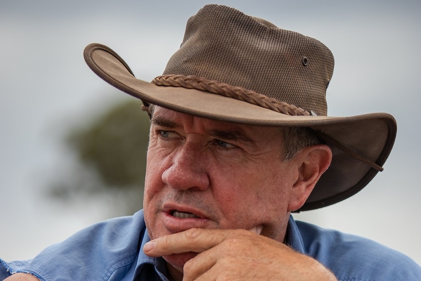 A canola farmer, wearing a hat, looking worried about his failed crop