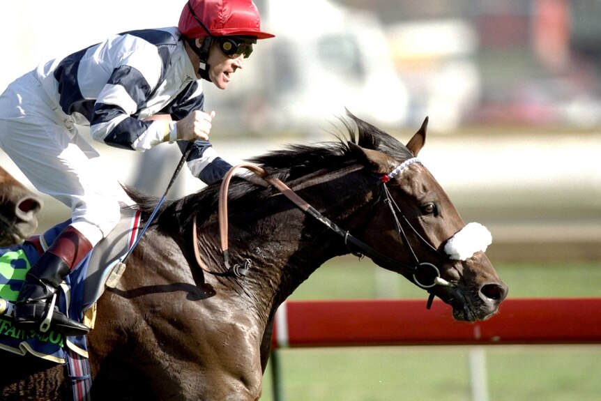 Taufan's Melody wins the 1998 Caulfield Cup.