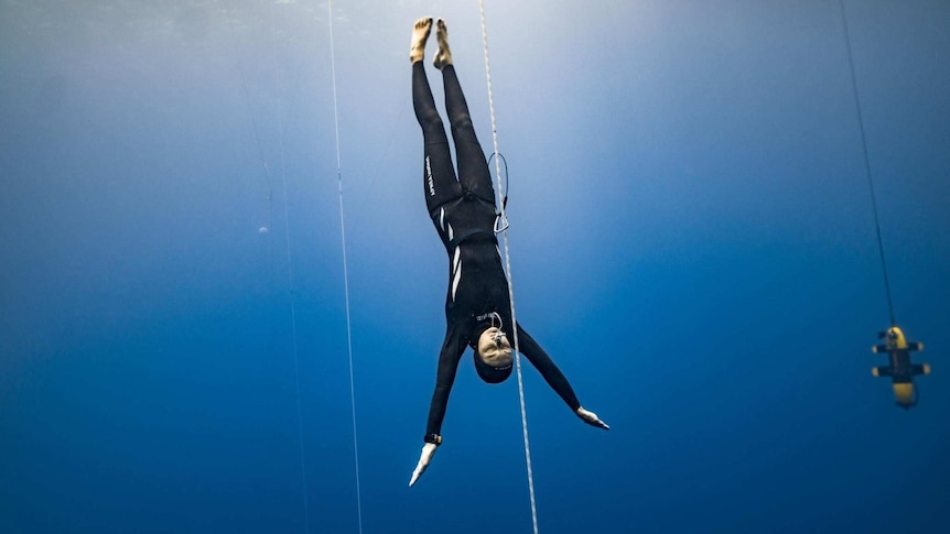 Australian freediver Amber Bourke descends into the water
