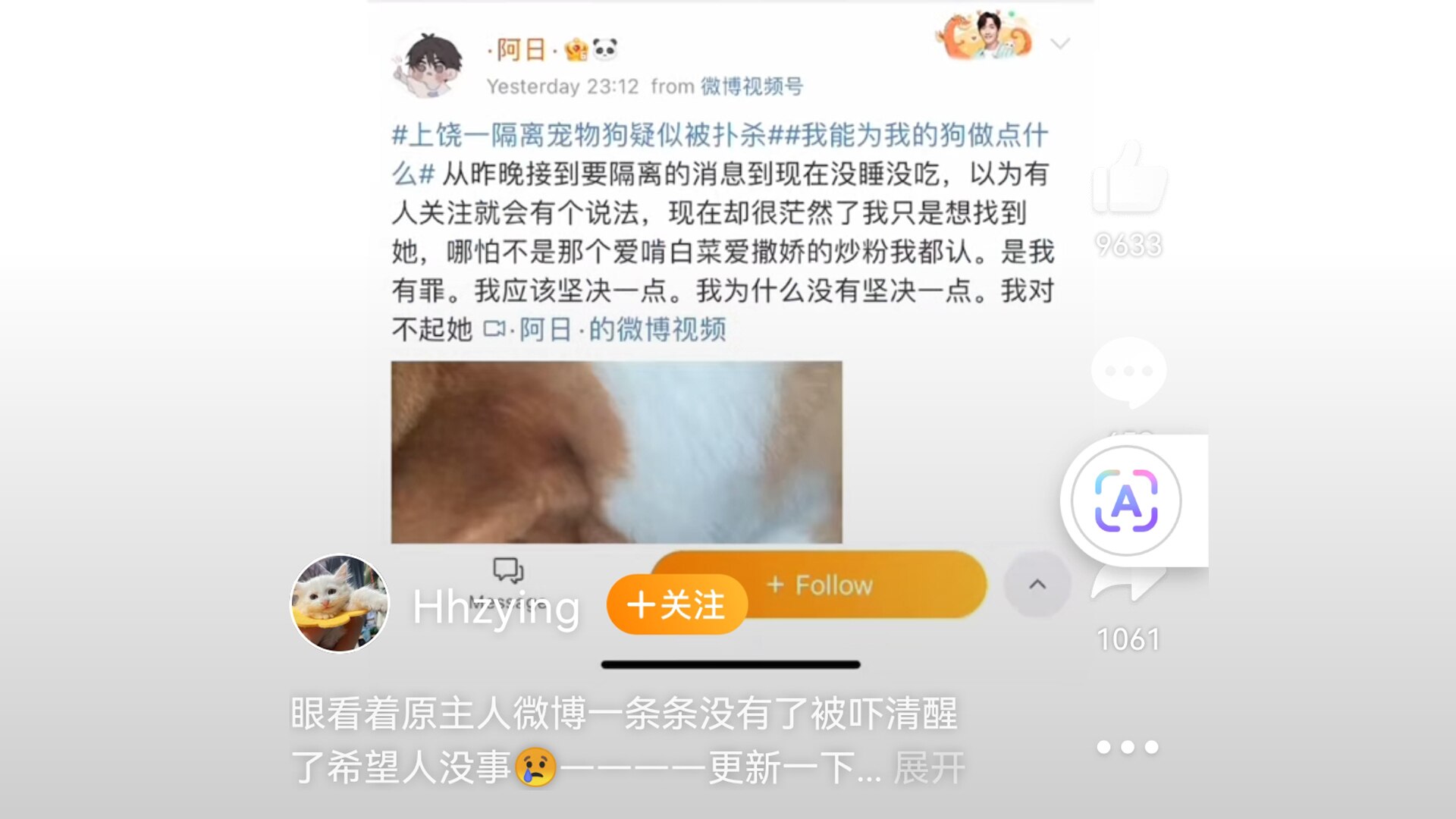 宠物狗的主人在中国社交媒体上的一个原始帖子的截图。