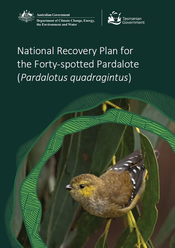 Cover of Australian government's Recovery Plan for the Forty Spotted Pardalote species document.