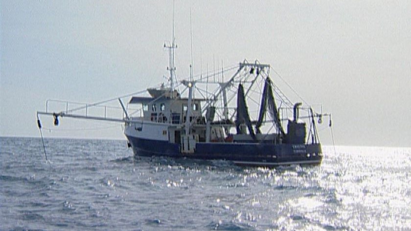 Some fishing operators are ready to leave the industry.