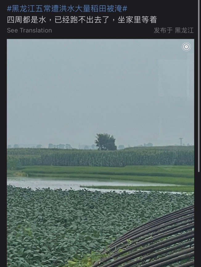 一则微博帖子里分享农田被淹没的照片