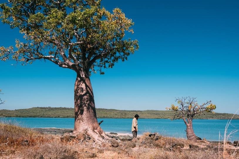 An Indigenous man stands underneath a boab tree near a stretch of water with a blue sky above.
