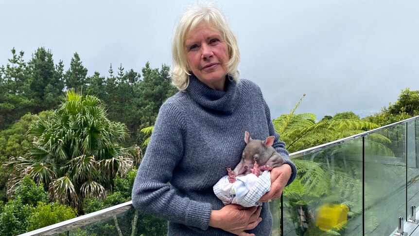 woman with blonde hair in a yumper holds a wombat in a wrap on a balcony in front of a foggy view.