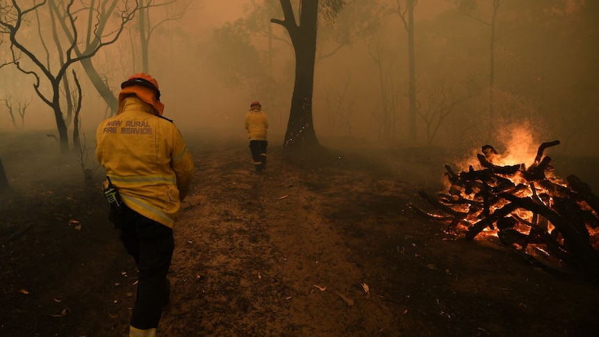 Two firefighters walk down a track lined with scorched trees into the haze ahead. There's a fire burning to the right.