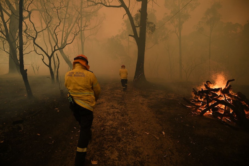 Two firefighters walk down a track lined with scorched trees into the haze ahead. There's a fire burning to the right.
