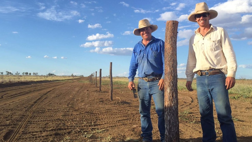 Ben and Tom Chandler fencing at Gregory Park near Barcaldine.