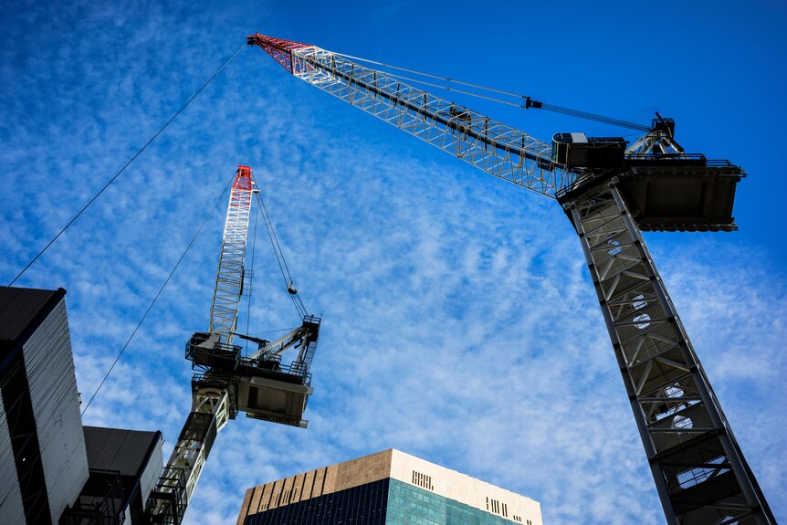 Two cranes against a blue sky. 