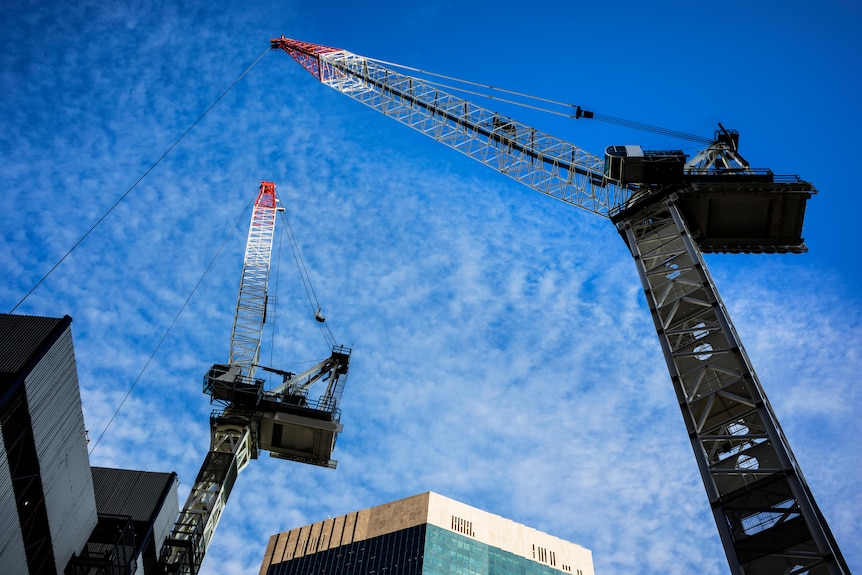 Two cranes against a blue sky. 