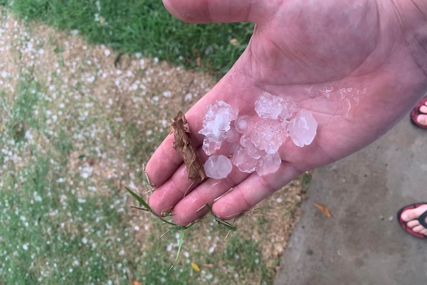 Hail in a man's hand with grass underneath.