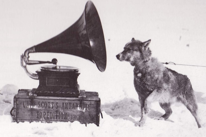 Black and white photo of a sledge dog next to a gramophone in the snow